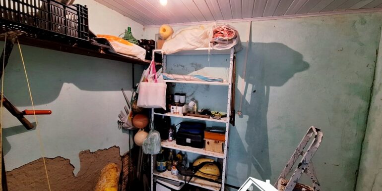 WhatsApp Image 2026-02-11 at 11.05.33 (1)